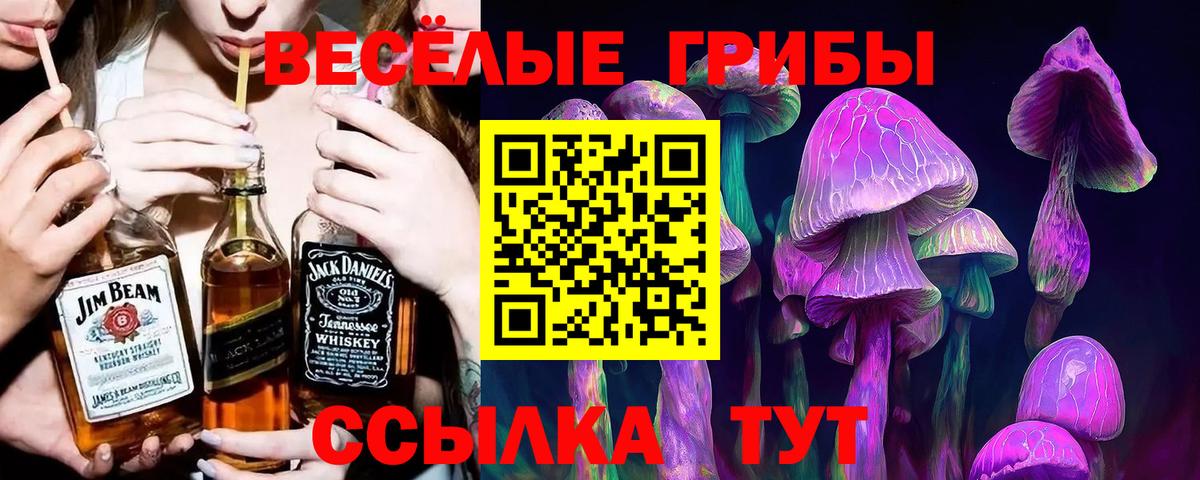 Лангепас  Псилоцибиновые грибы Magic Shrooms  Псилоцибиновые грибы Cubensis  Вход с VPN 